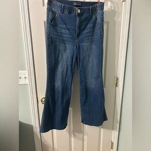 Democracy Medium Blue Flare Jeans